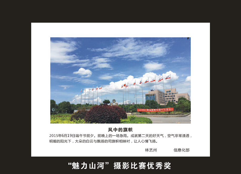 九游网页版智能成立16周年司庆活动“魅力九游网页版”摄影比赛优秀作品展