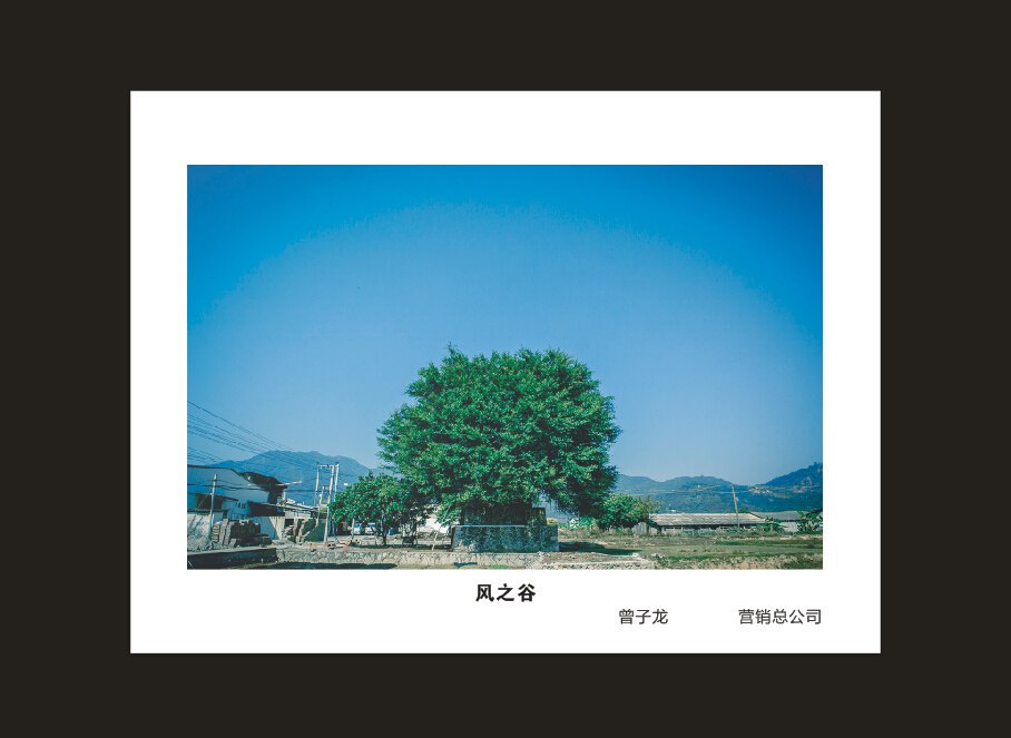 九游网页版智能成立16周年司庆活动“魅力九游网页版”摄影比赛优秀作品展