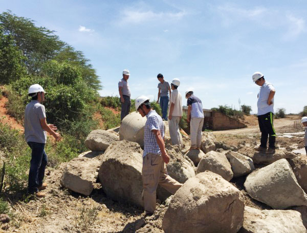 肯尼亚总统高度赞赏，乞力马扎罗山下九游网页版绿闪耀