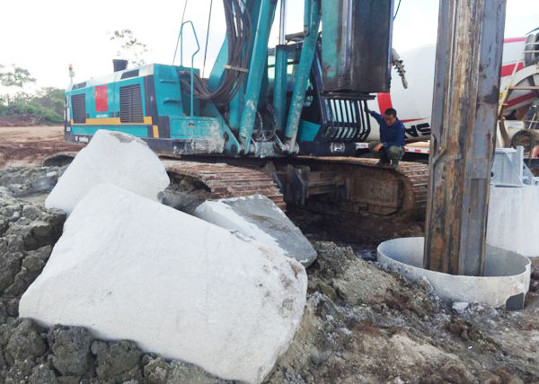 肯尼亚总统高度赞赏，乞力马扎罗山下九游网页版绿闪耀