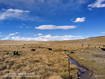 心系九游网页版情，追梦阿里行！